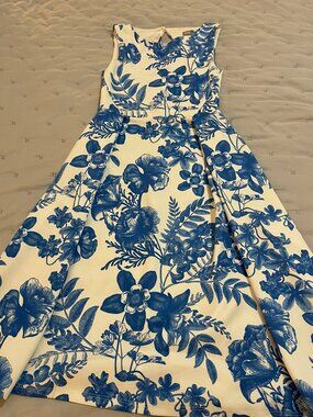 LIKE NEW Size 2 ASOS Blue and White Floral Toile Fit and Flare Midi Dress